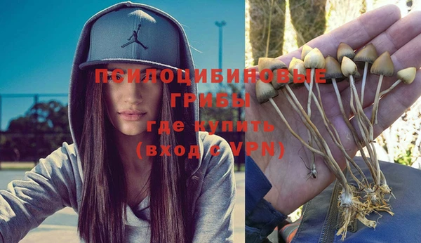 ECSTASY Корсаков