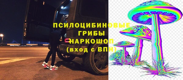 ECSTASY Корсаков