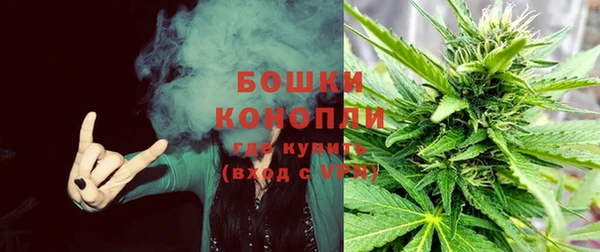 Альфа ПВП Костерёво