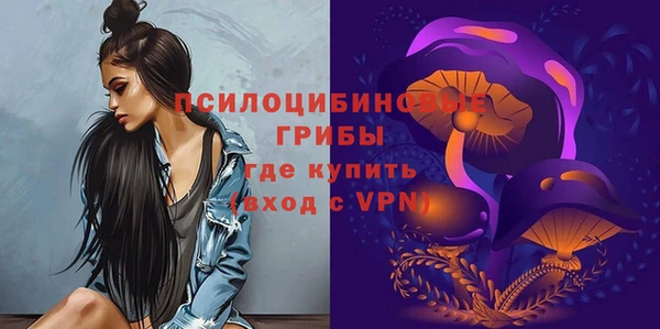 Альфа ПВП Костерёво